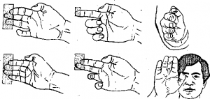 51