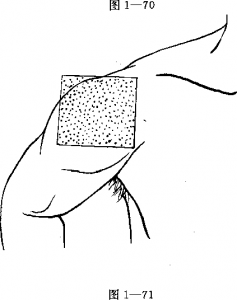 54
