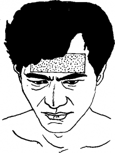 55