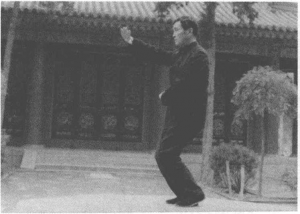 图片9