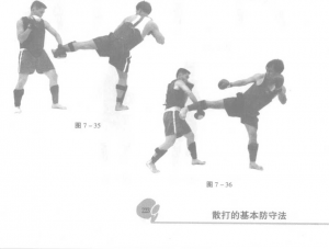图片196
