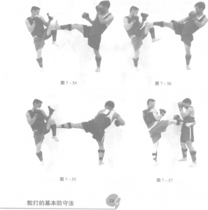 图片208