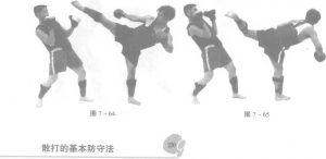 图片211