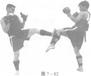图片223