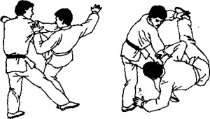 56
