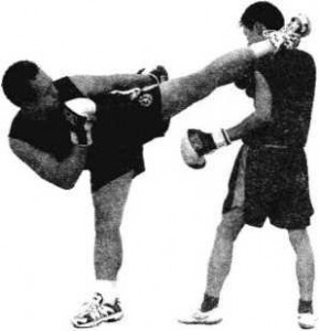 29