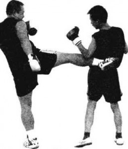 33