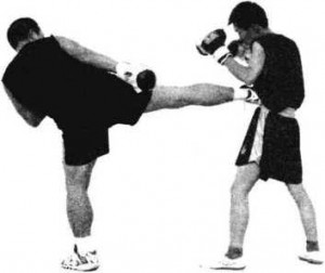 36