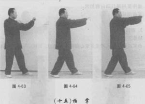 图片81