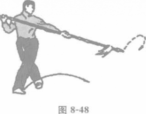 图片147