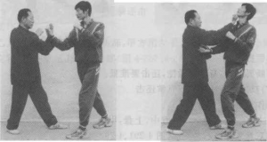 图片174
