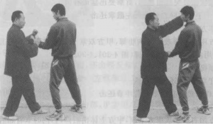 图片176