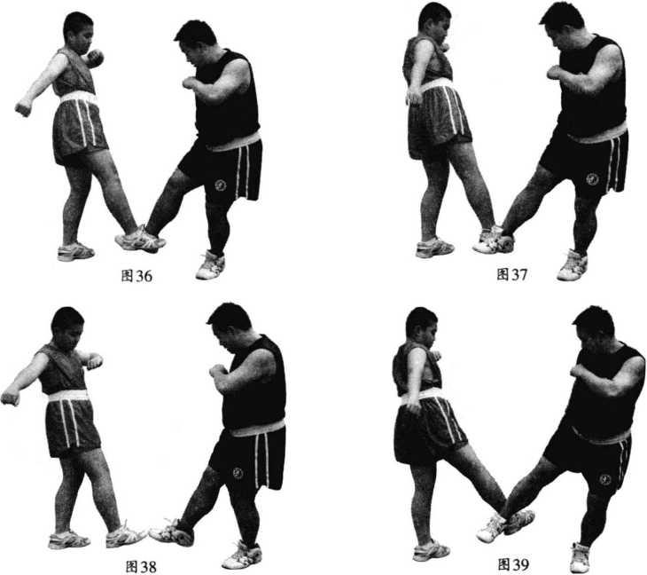 散打散打实战动作分解