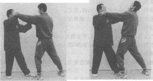 图片184