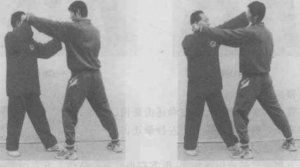 图片185