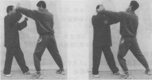 图片191