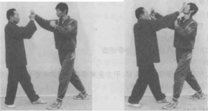 图片195