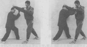 图片196