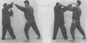图片213
