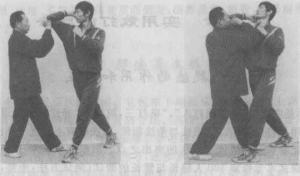 图片219