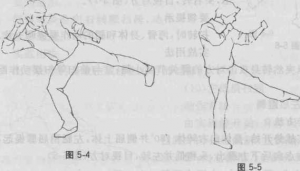 图片223