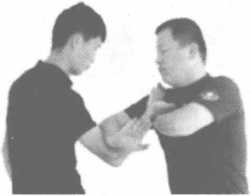 图片11