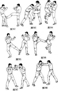 图片111