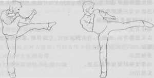 图片20