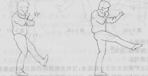 图片88