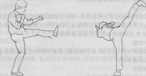 图片95