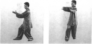 图片11