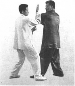 图片36