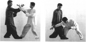 图片88