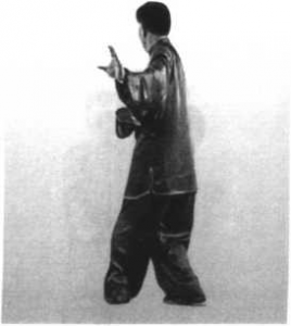 图片107