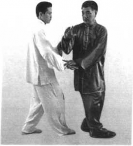 图片113