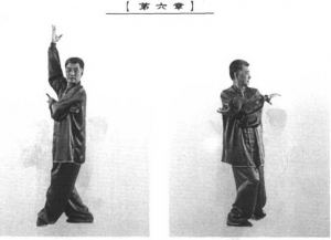 图片5