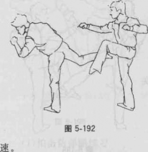 图片50