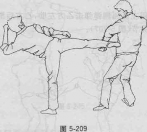 图片66