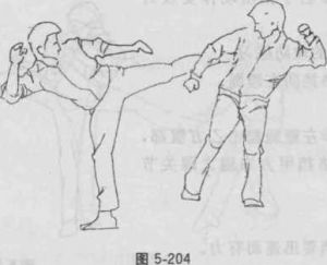 图片61