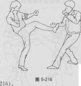 图片74