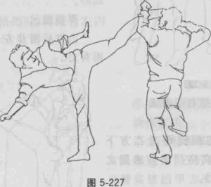 图片84