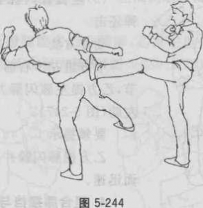 图片101