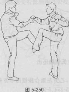 图片107