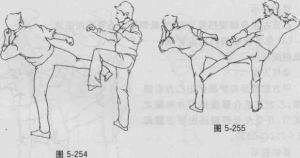 图片111