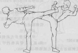 图片121