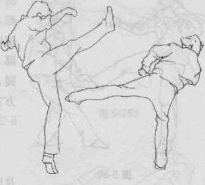 图片134