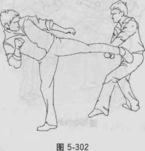 图片156