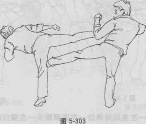 图片157