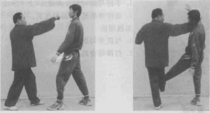 图片173
