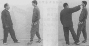 图片175